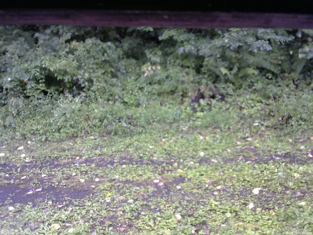 長野県菅平高原 ゆたか山荘 東側(坂下) 2026/08/28 07:00