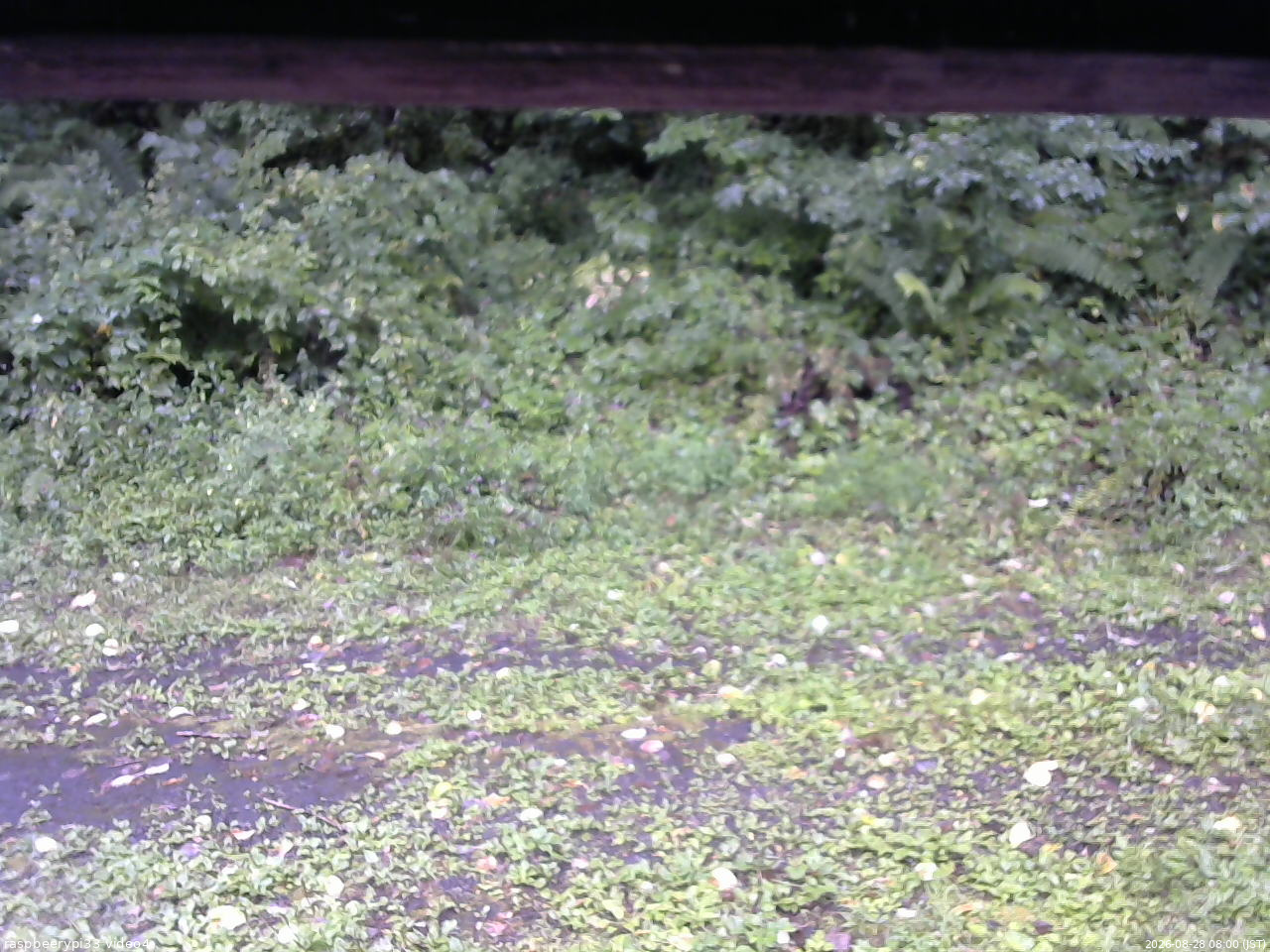 長野県菅平高原 ゆたか山荘 東側(坂下) 2026/08/28 08:00