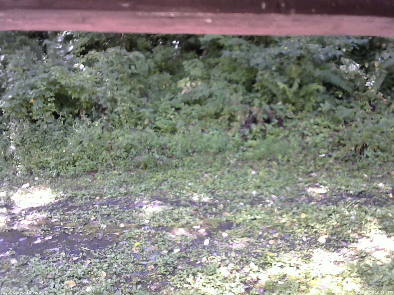 長野県菅平高原 ゆたか山荘 東側(坂下) 2026/08/28 10:15
