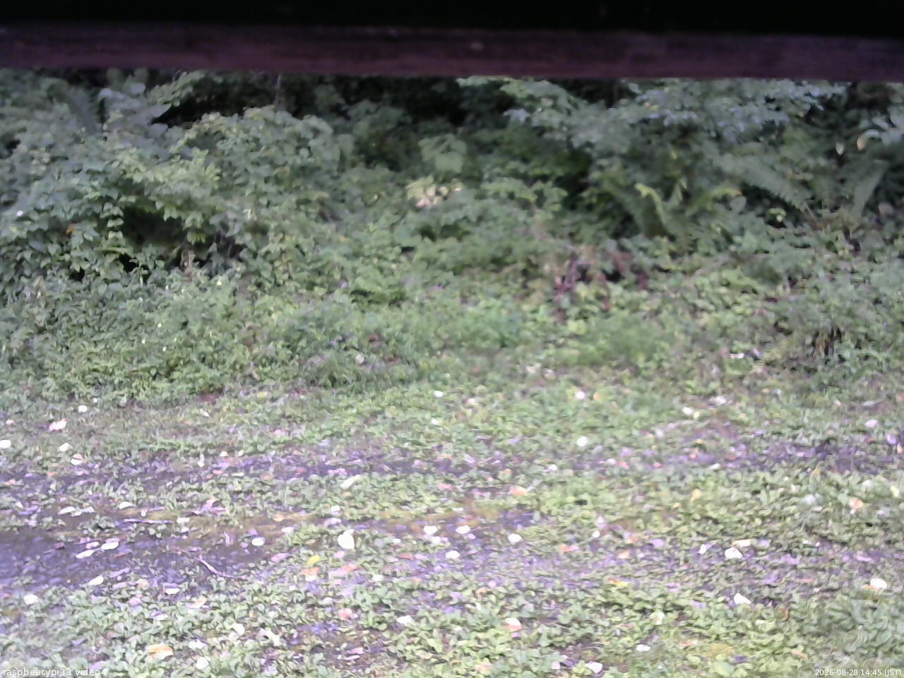 長野県菅平高原 ゆたか山荘 東側(坂下) 2026/08/28 14:45