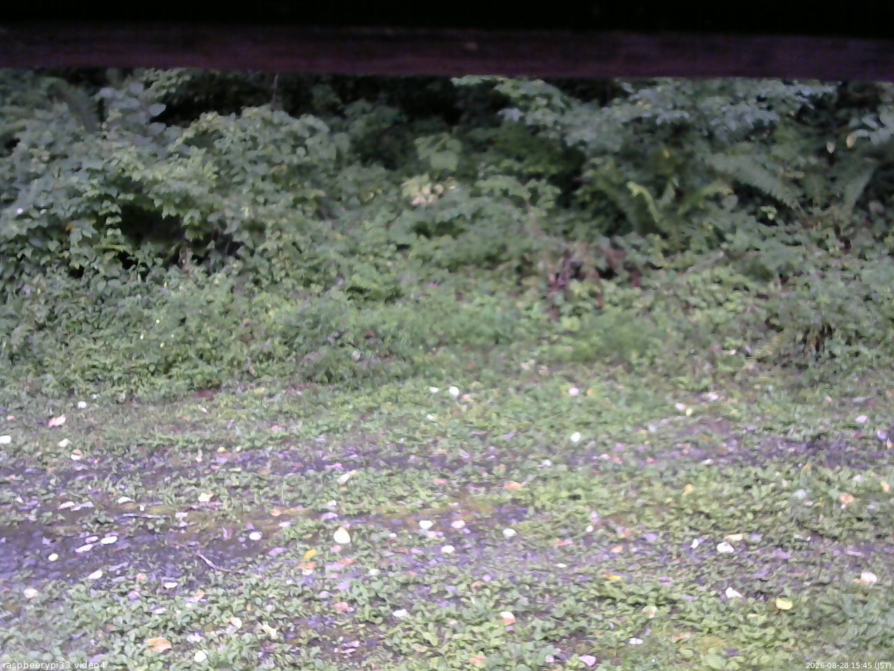 長野県菅平高原 ゆたか山荘 東側(坂下) 2026/08/28 15:45