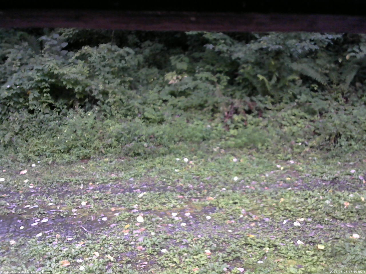 長野県菅平高原 ゆたか山荘 東側(坂下) 2026/08/28 17:45