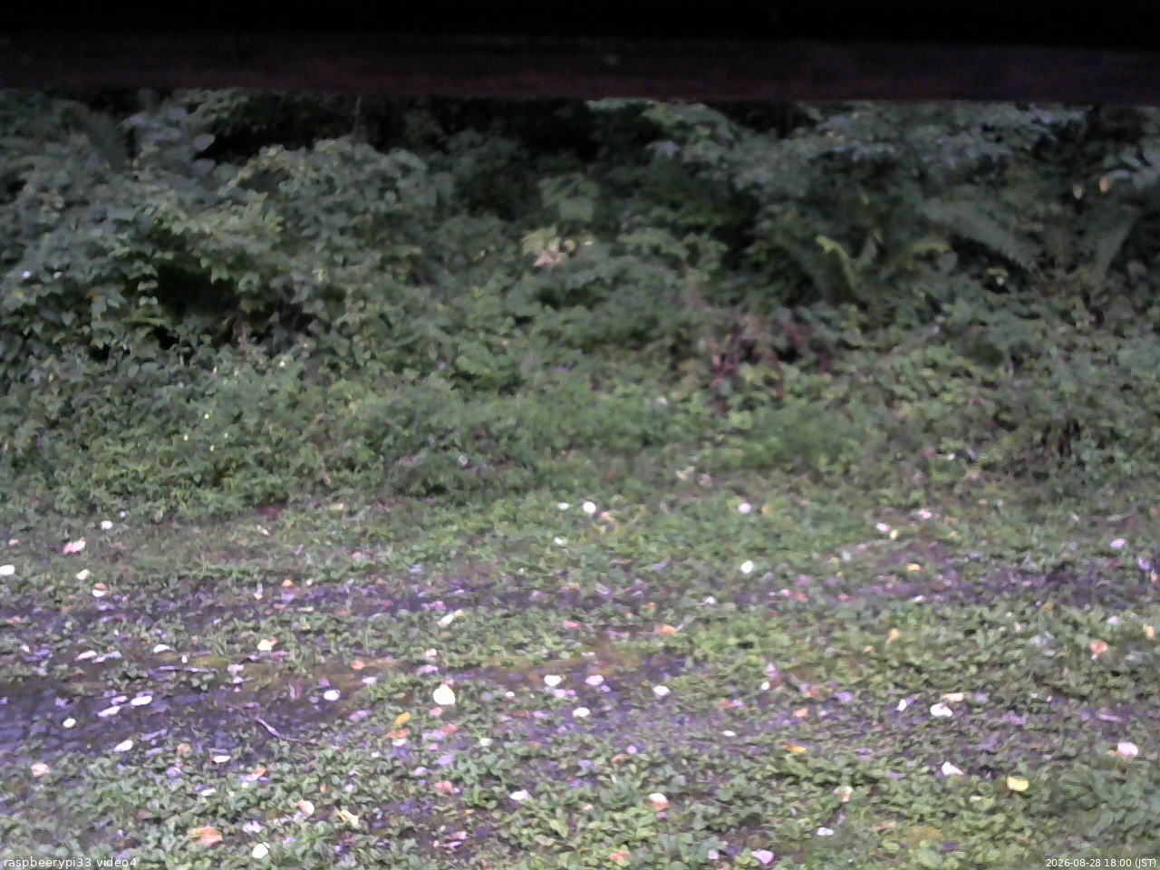 長野県菅平高原 ゆたか山荘 東側(坂下) 2026/08/28 18:00