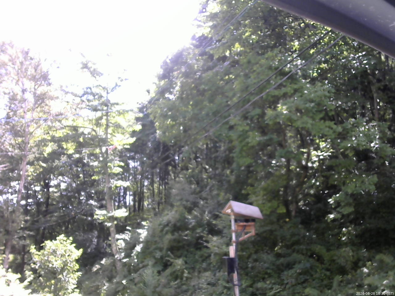 長野県菅平高原 ゆたか山荘 温度計 2026/08/28 10:30