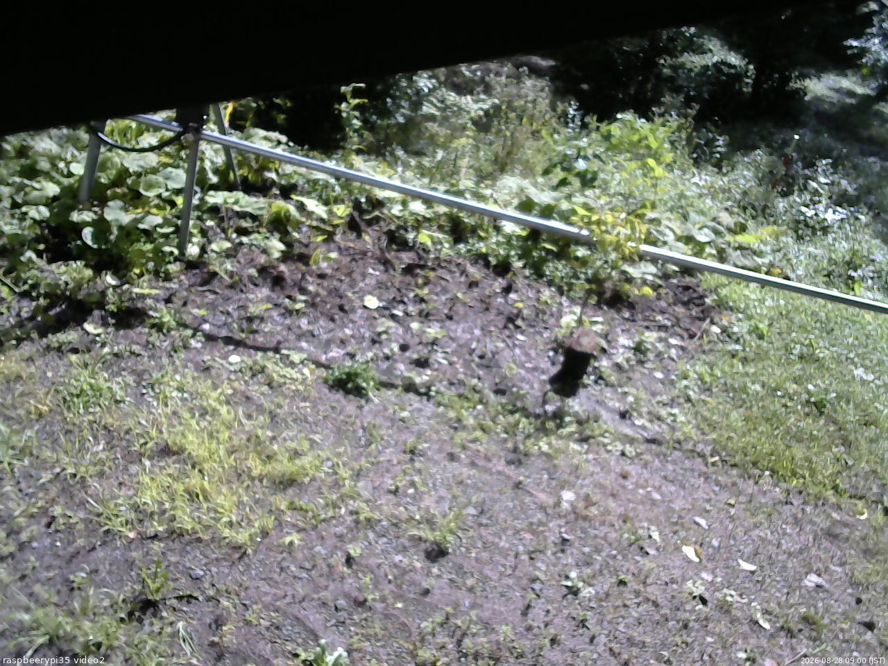 長野県菅平高原 ゆたか山荘 駐車場 2026/08/28 09:00