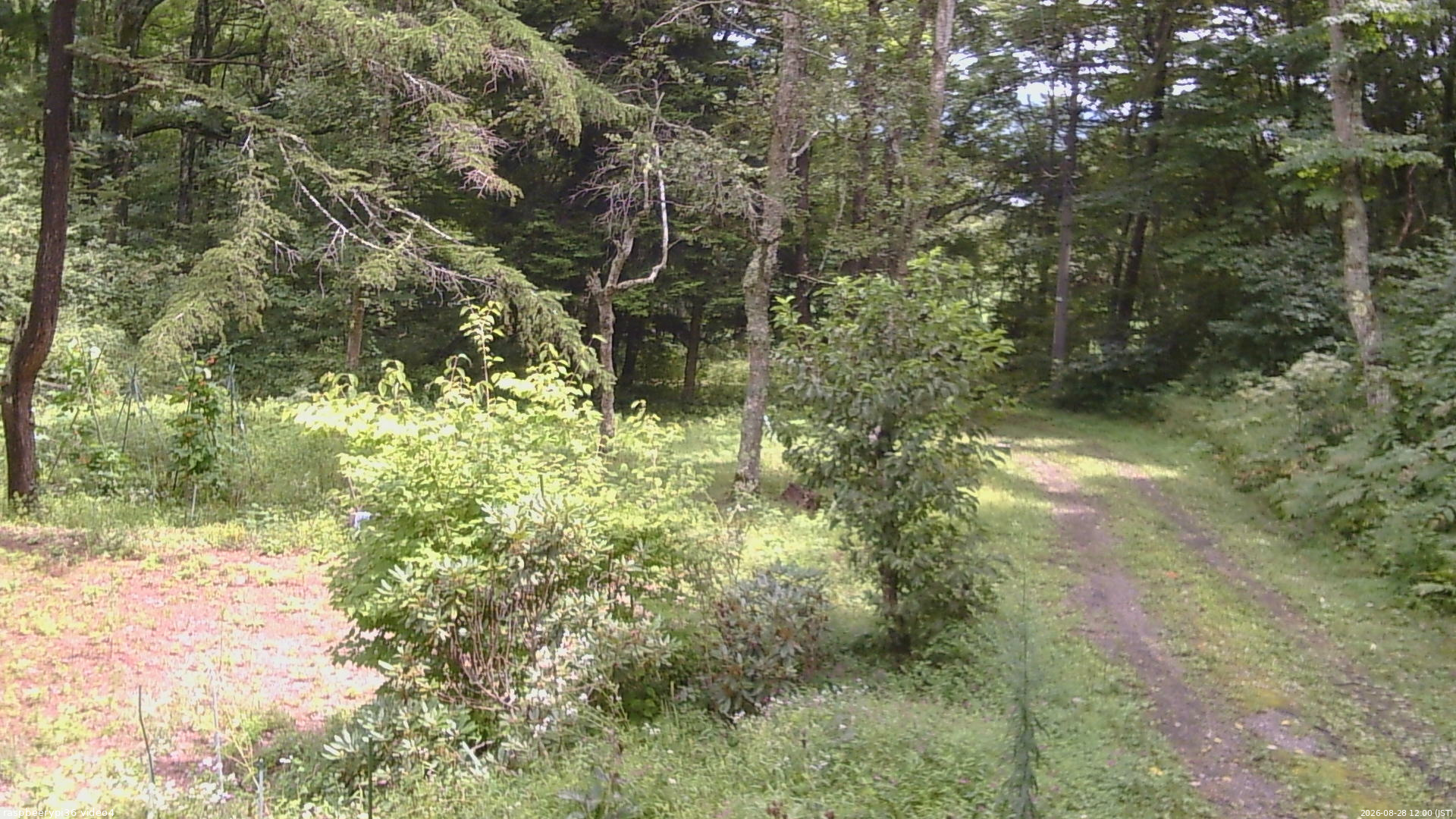 長野県菅平高原 ゆたか山荘 坂上 2026/08/28 12:00