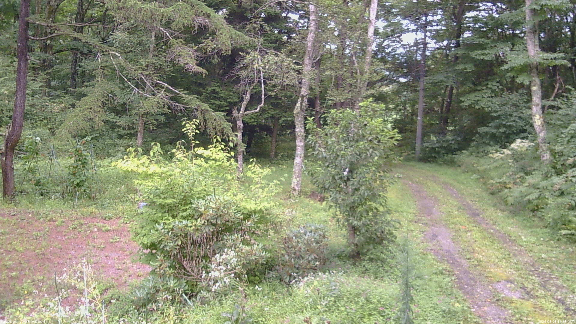 長野県菅平高原 ゆたか山荘 坂上 2026/08/28 14:45