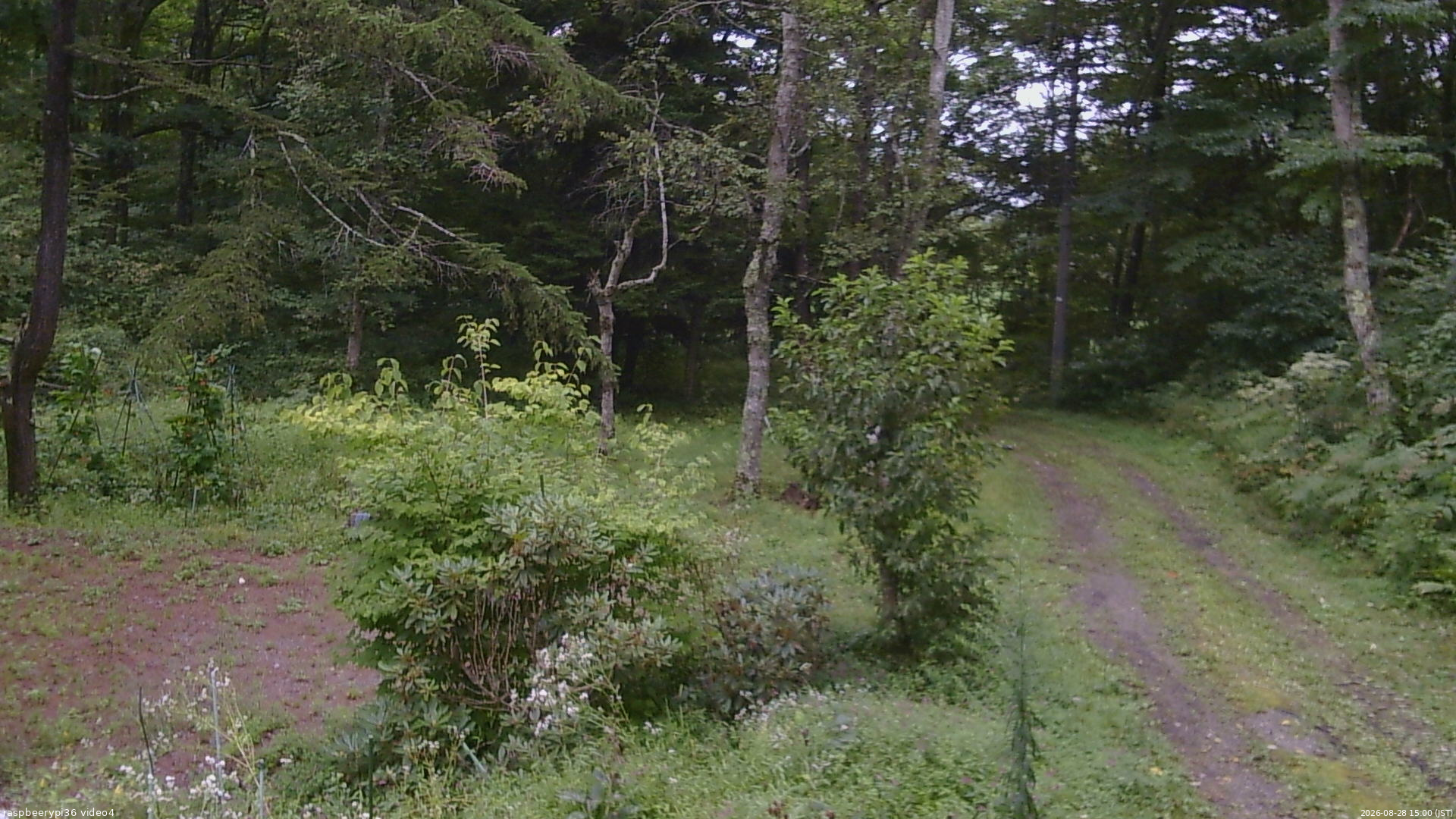 長野県菅平高原 ゆたか山荘 坂上 2026/08/28 15:00