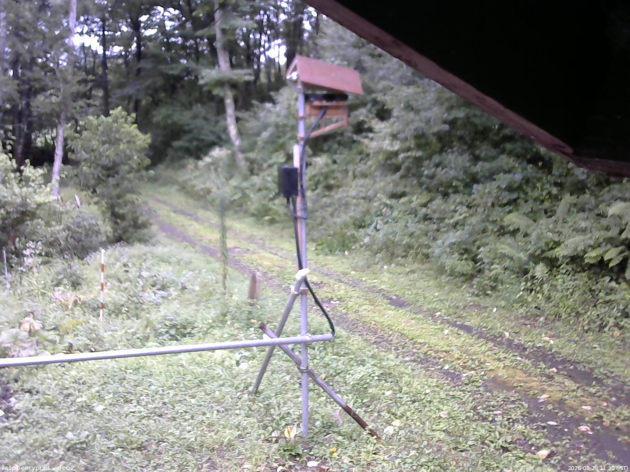 長野県菅平高原 ゆたか山荘 南側 2026/08/29 11:30