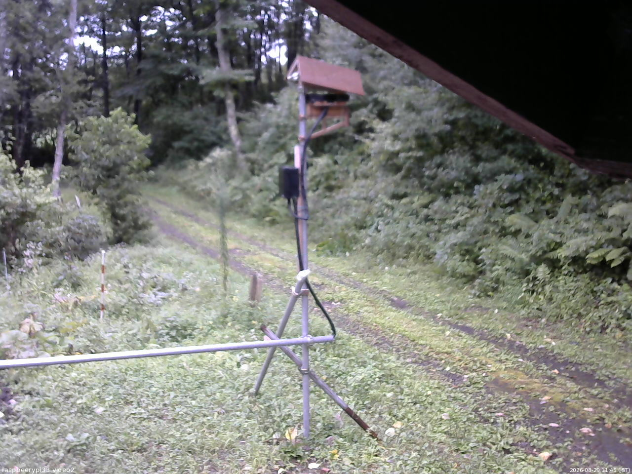 長野県菅平高原 ゆたか山荘 南側 2026/08/29 11:45