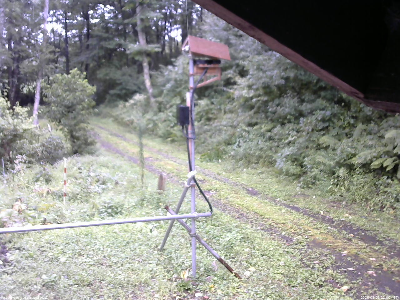 長野県菅平高原 ゆたか山荘 南側 2026/08/29 12:00