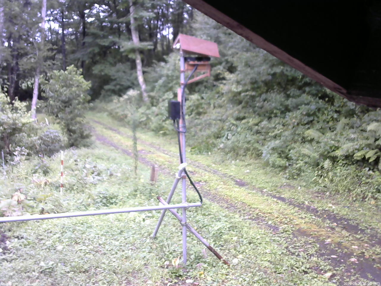 長野県菅平高原 ゆたか山荘 南側 2026/08/29 15:00