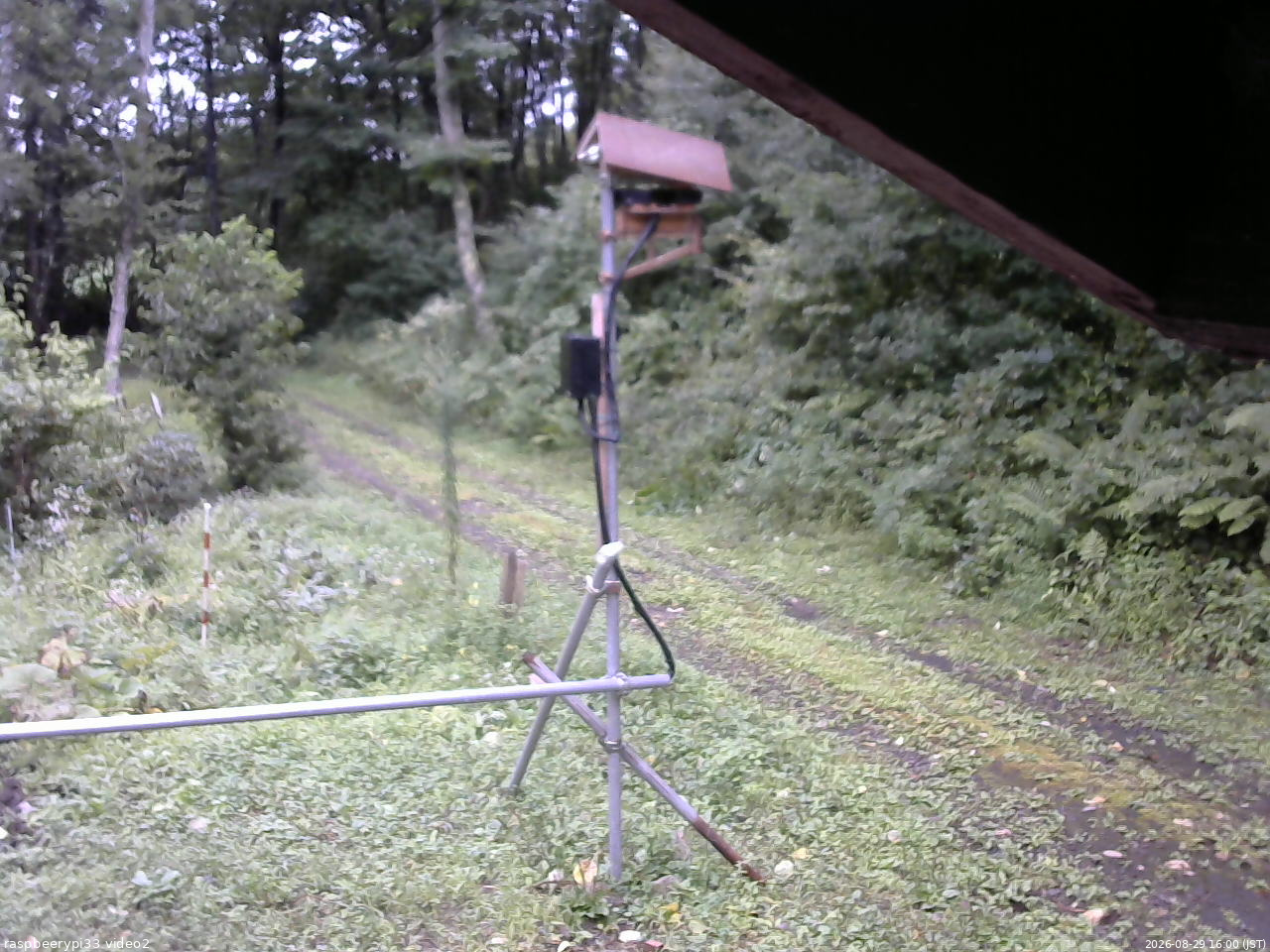 長野県菅平高原 ゆたか山荘 南側 2026/08/29 16:00