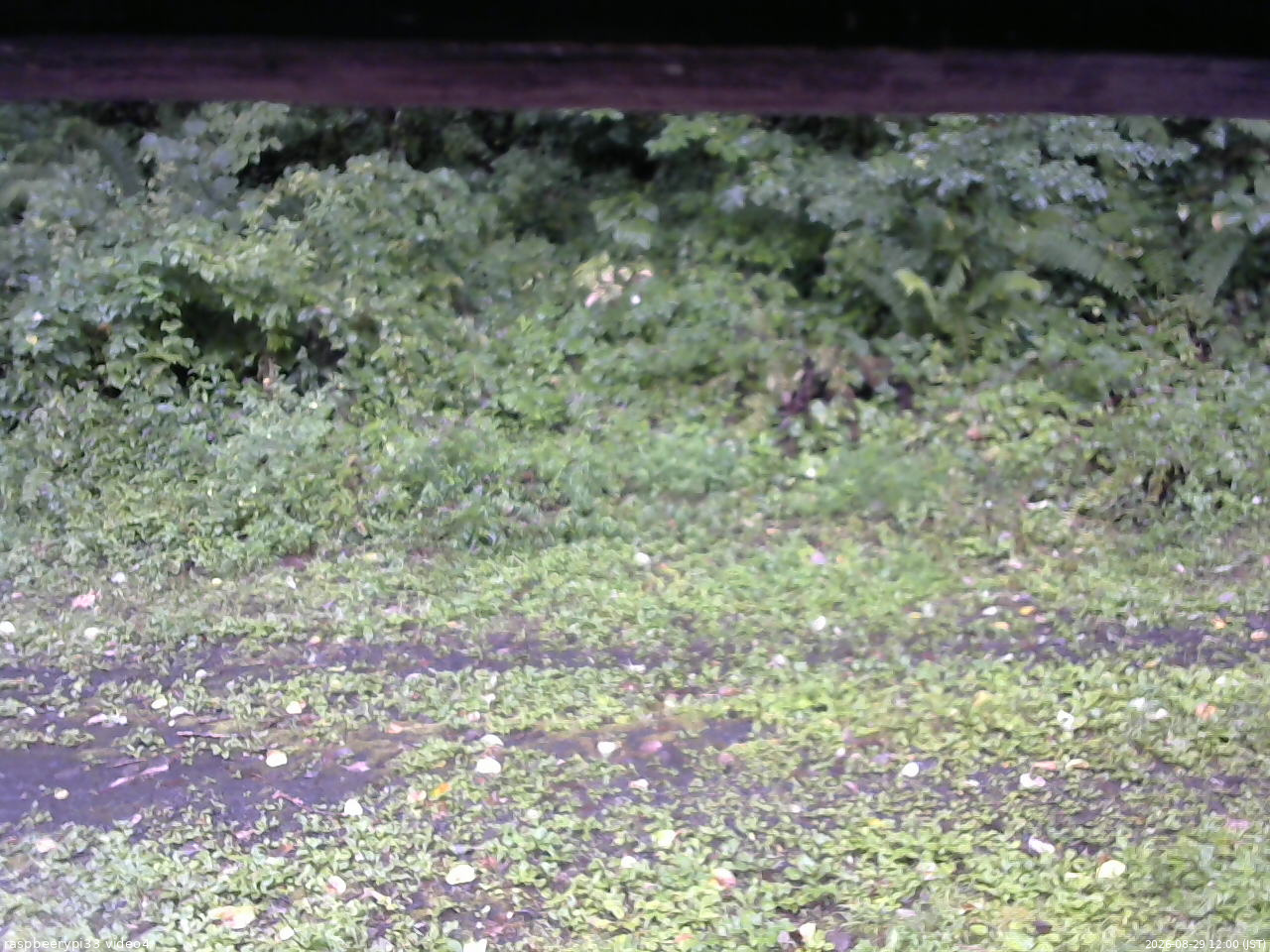 長野県菅平高原 ゆたか山荘 東側(坂下) 2026/08/29 12:00
