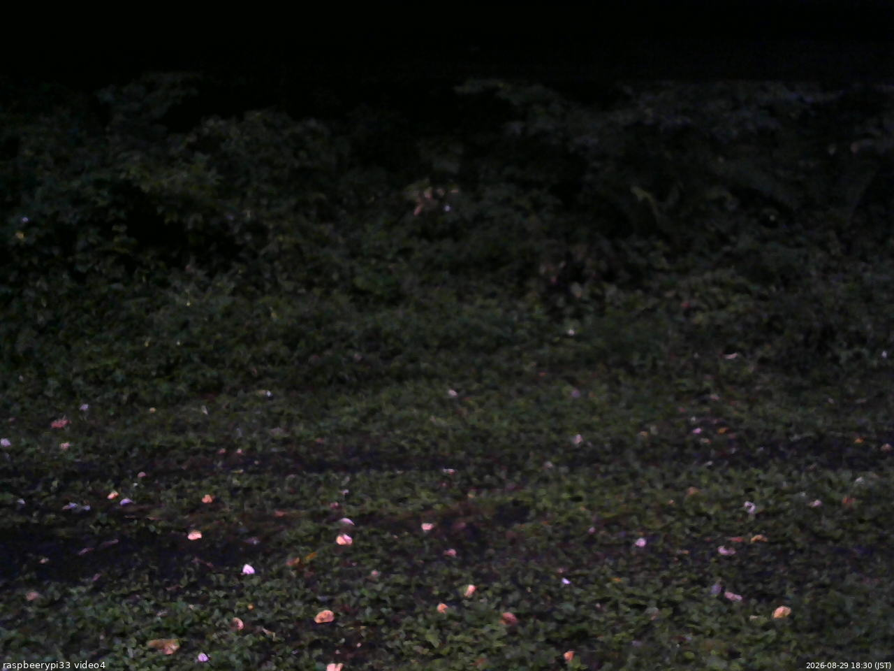 長野県菅平高原 ゆたか山荘 東側(坂下) 2026/08/29 18:30
