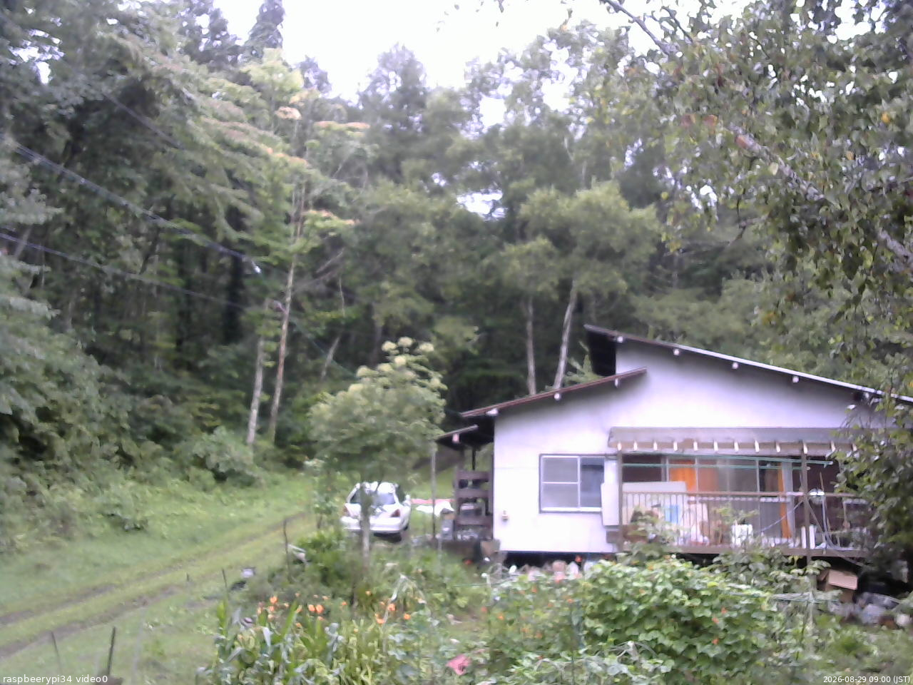長野県菅平高原 ゆたか山荘 西側(坂上) 2026/08/29 09:00