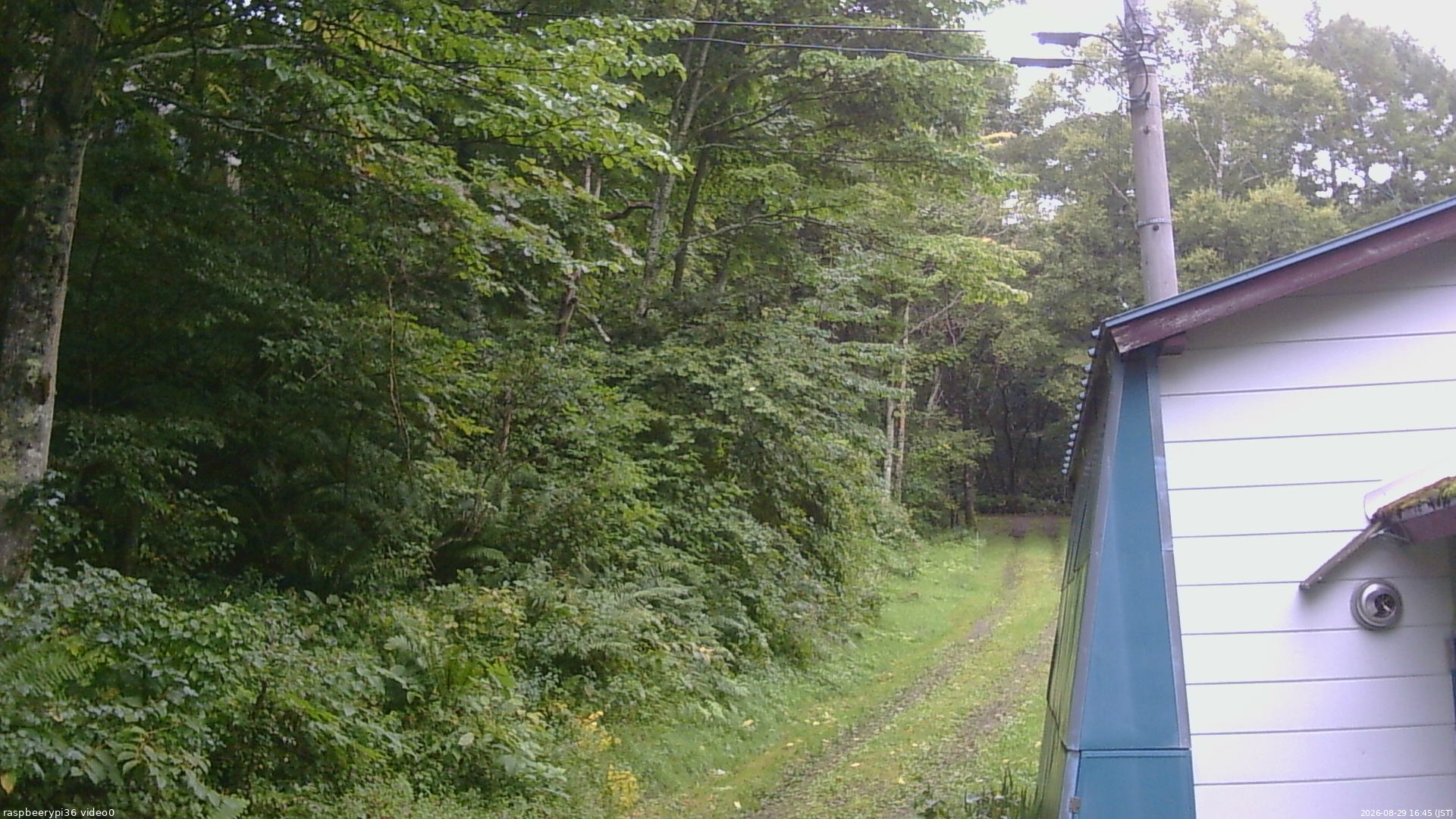 長野県菅平高原 ゆたか山荘 ゆたか山荘 2026/08/29 16:45
