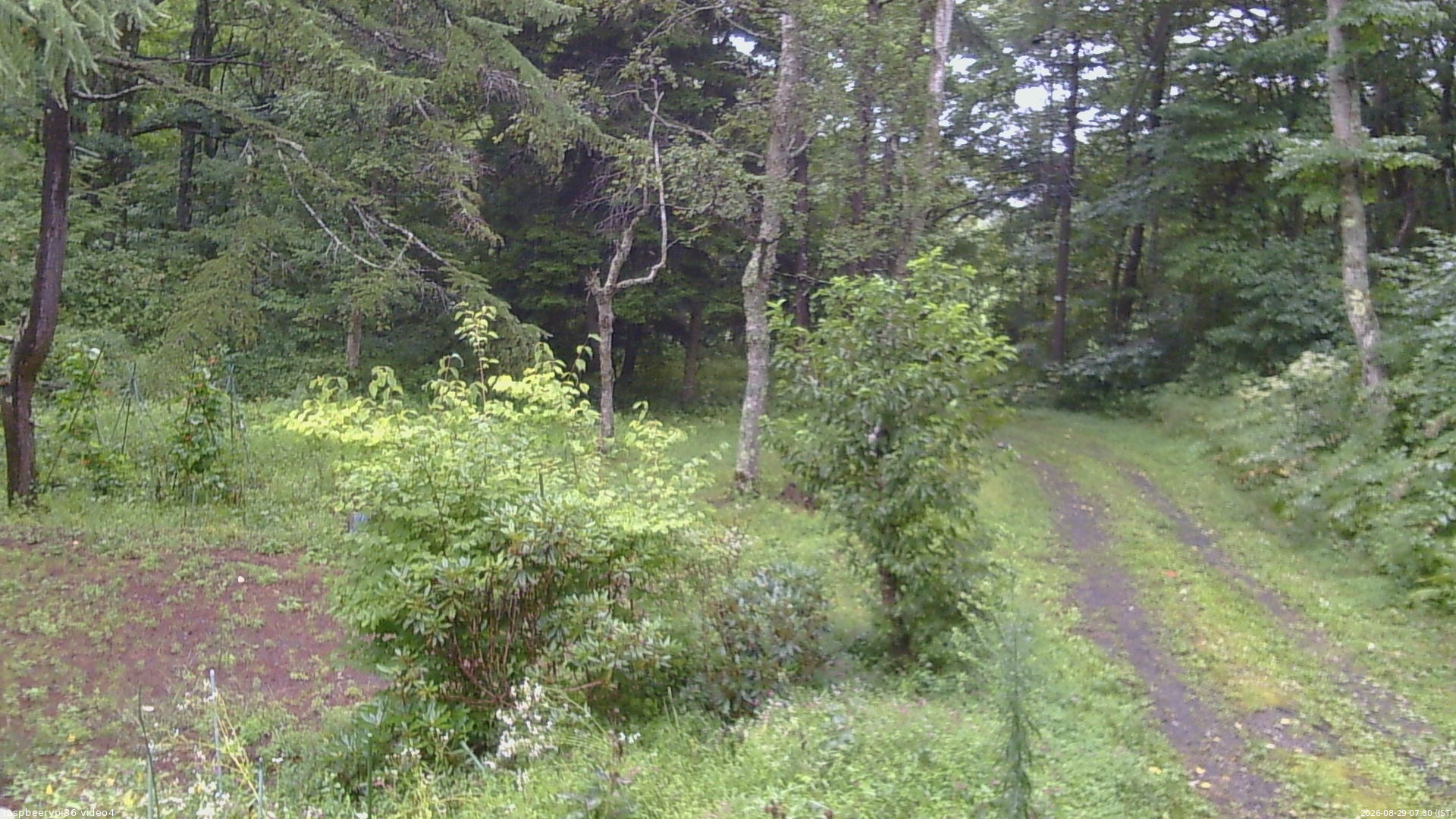 長野県菅平高原 ゆたか山荘 坂上 2026/08/29 07:30