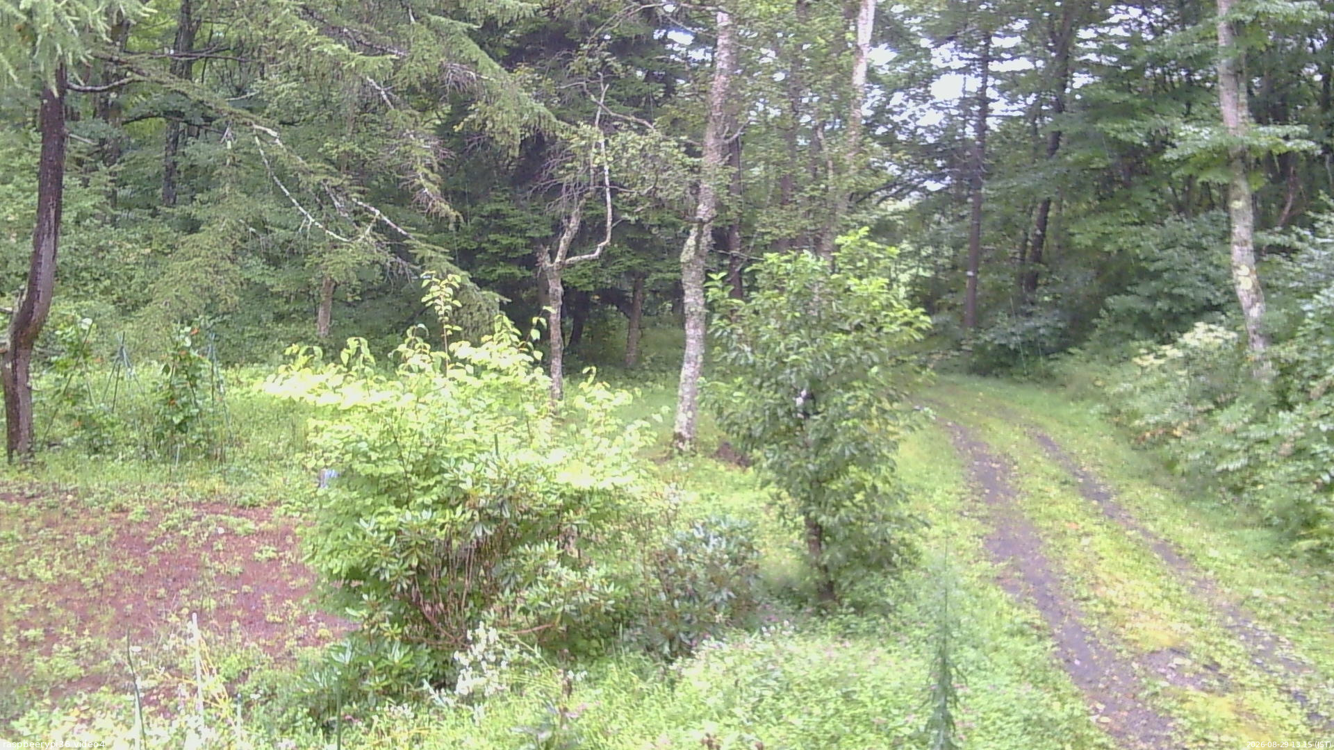 長野県菅平高原 ゆたか山荘 坂上 2026/08/29 13:15