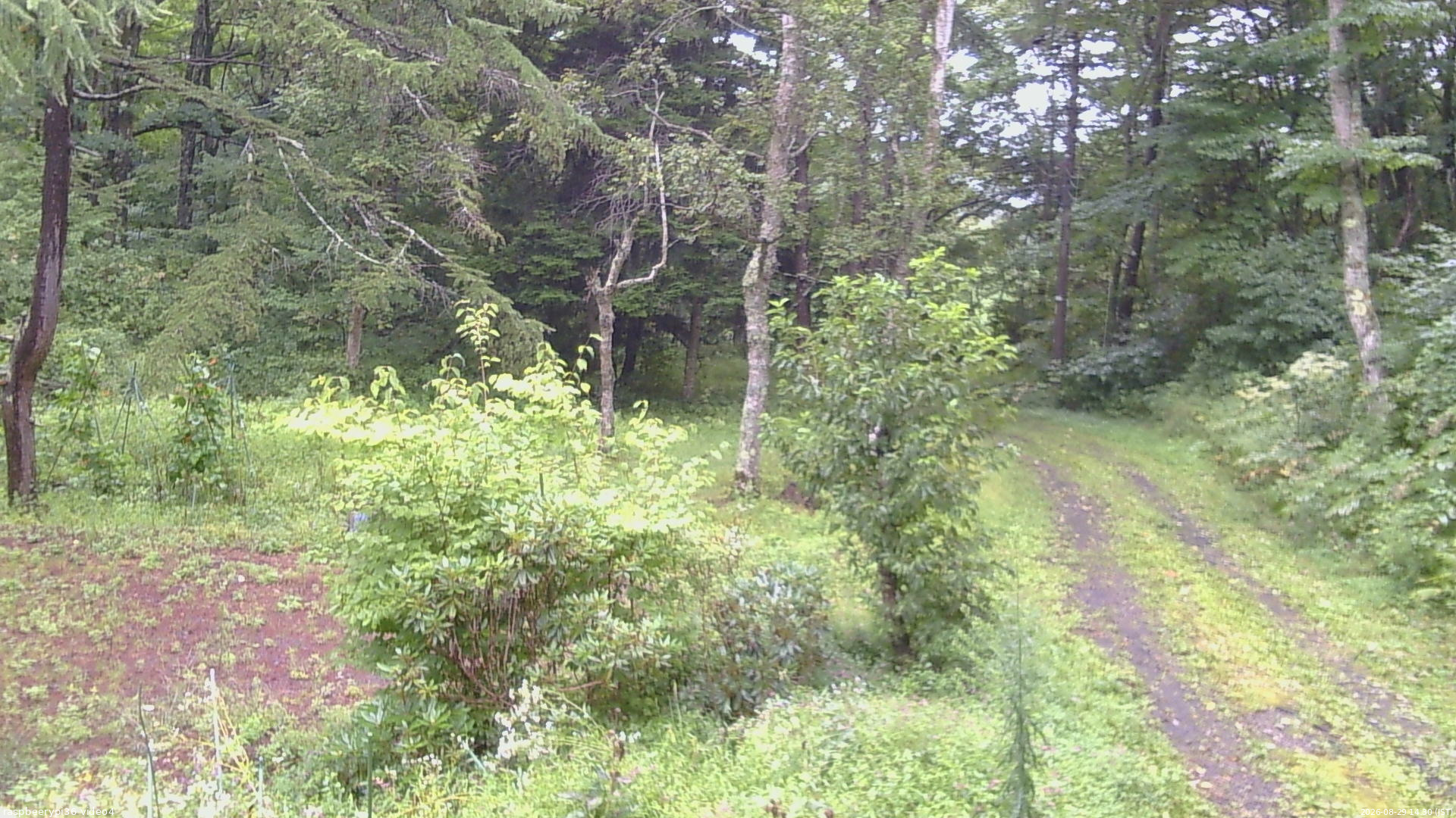 長野県菅平高原 ゆたか山荘 坂上 2026/08/29 14:30