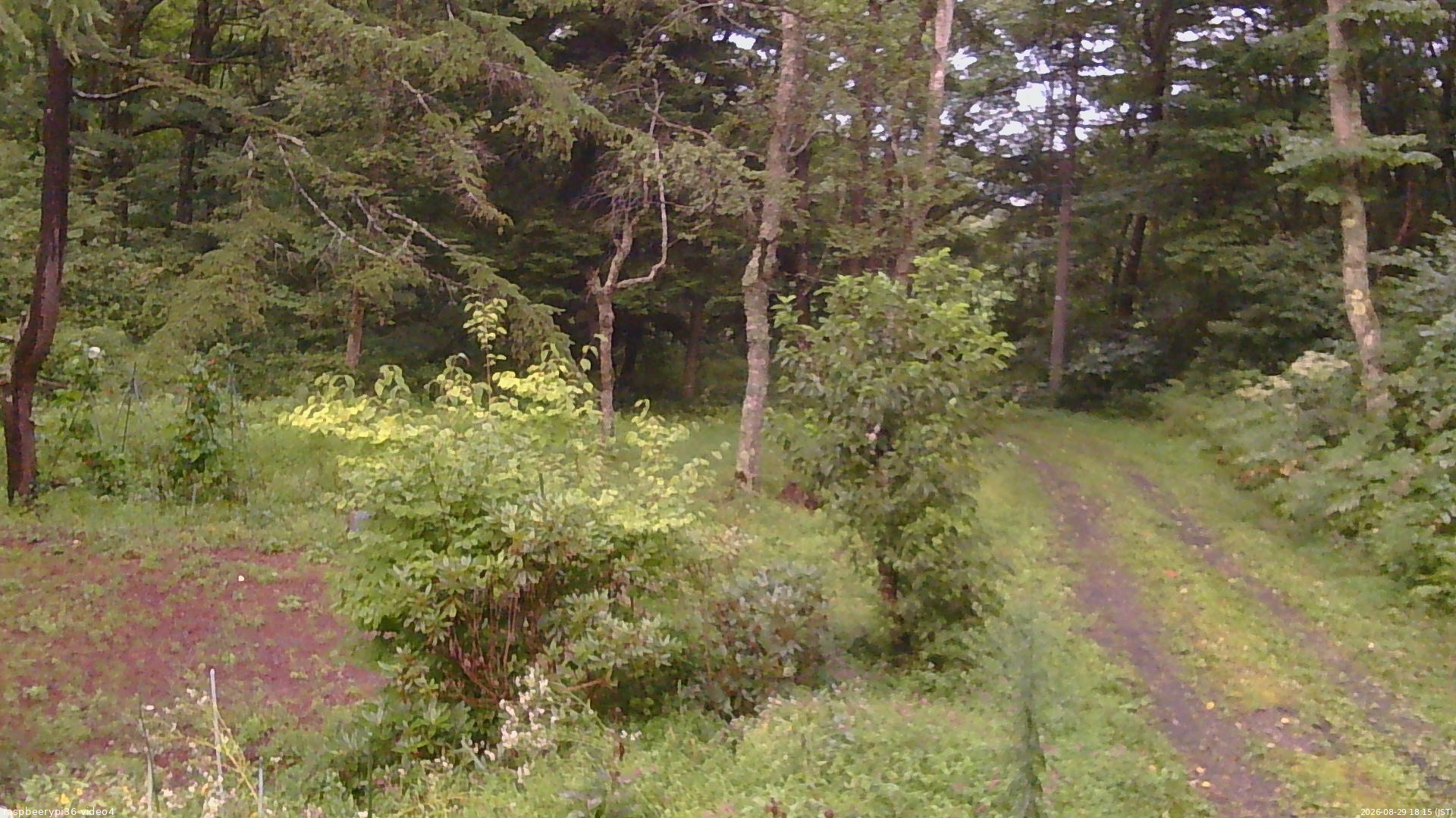 長野県菅平高原 ゆたか山荘 坂上 2026/08/29 18:15