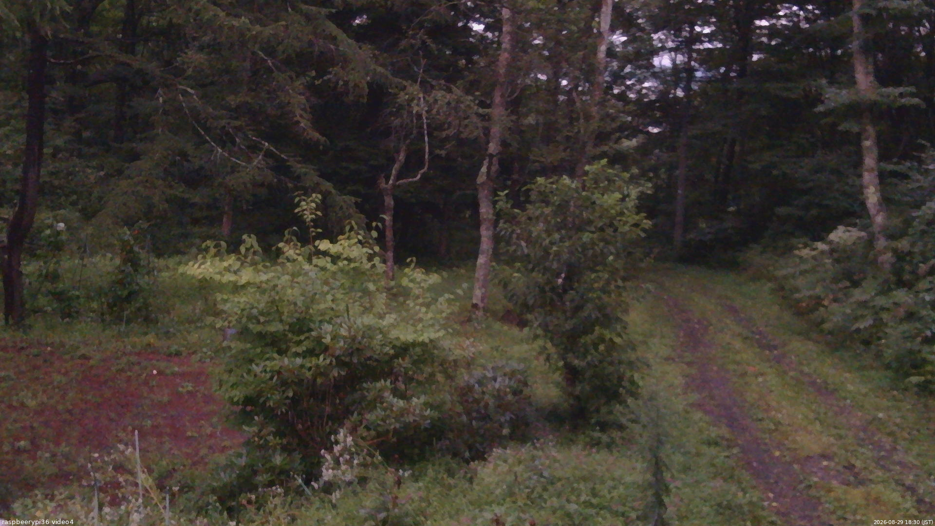 長野県菅平高原 ゆたか山荘 坂上 2026/08/29 18:30