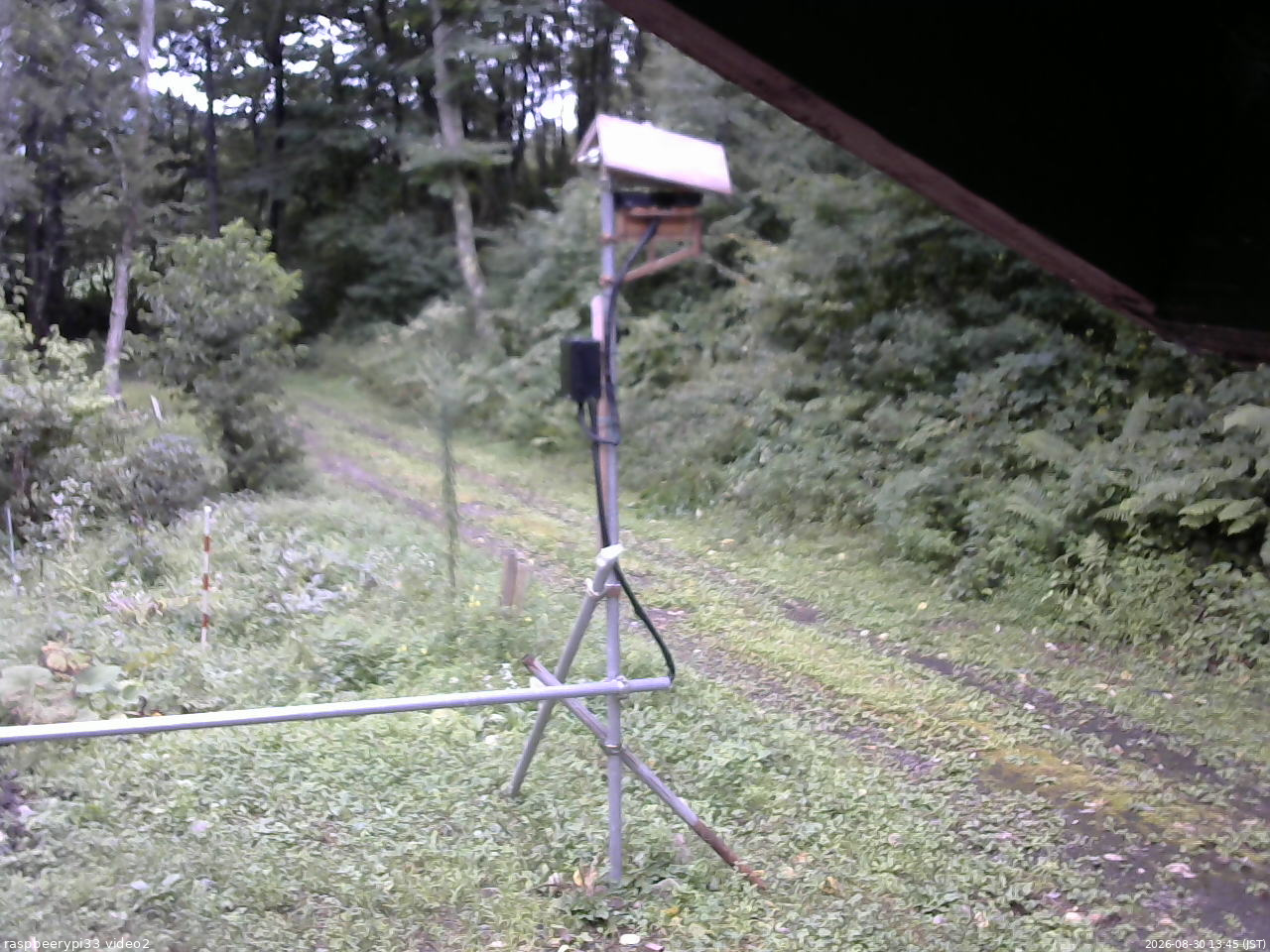 長野県菅平高原 ゆたか山荘 南側 2026/08/30 13:45