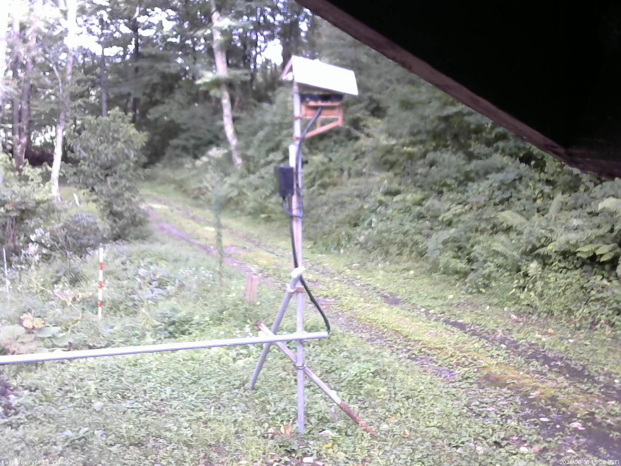 長野県菅平高原 ゆたか山荘 南側 2026/08/30 15:00