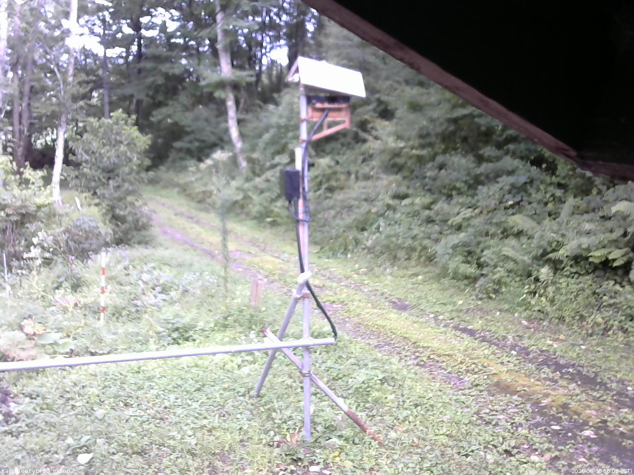 長野県菅平高原 ゆたか山荘 南側 2026/08/30 16:00