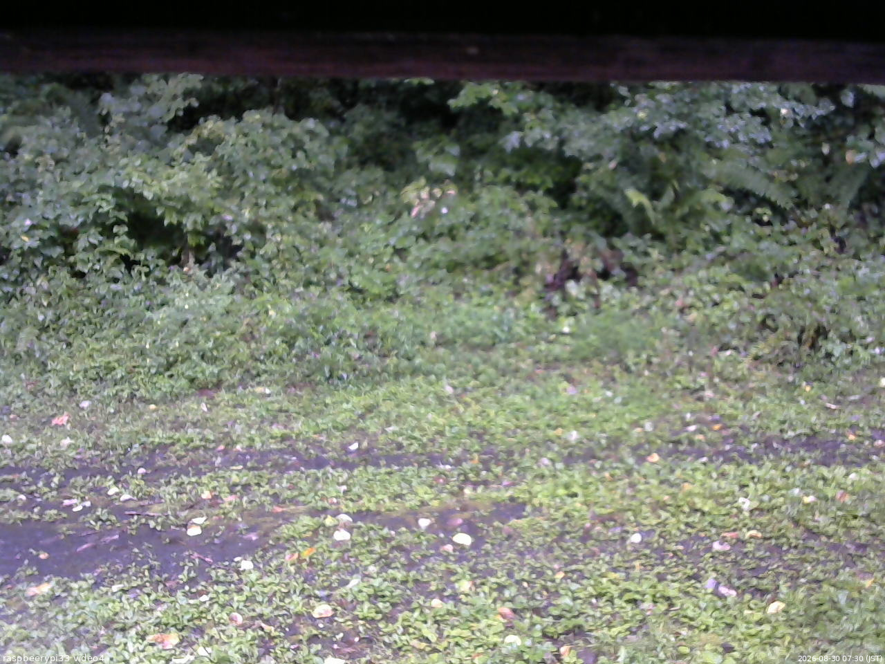 長野県菅平高原 ゆたか山荘 東側(坂下) 2026/08/30 07:30