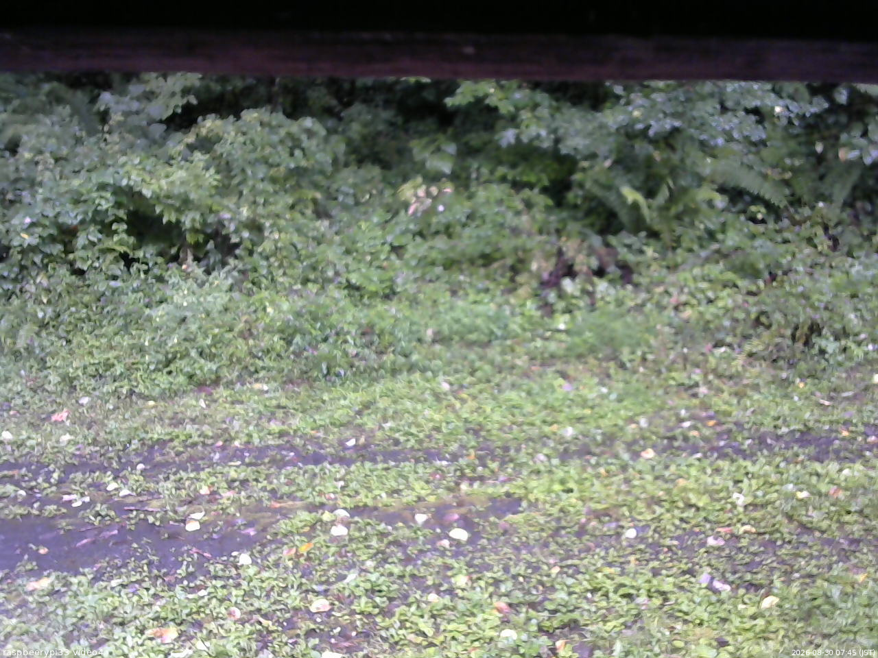 長野県菅平高原 ゆたか山荘 東側(坂下) 2026/08/30 07:45