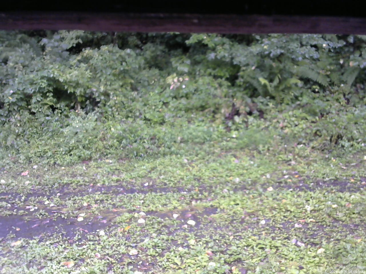 長野県菅平高原 ゆたか山荘 東側(坂下) 2026/08/30 08:00
