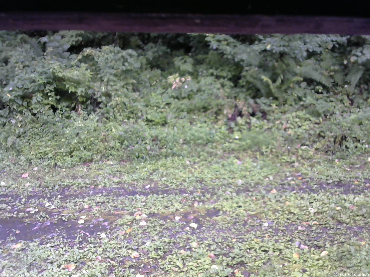 長野県菅平高原 ゆたか山荘 東側(坂下) 2026/08/30 10:30
