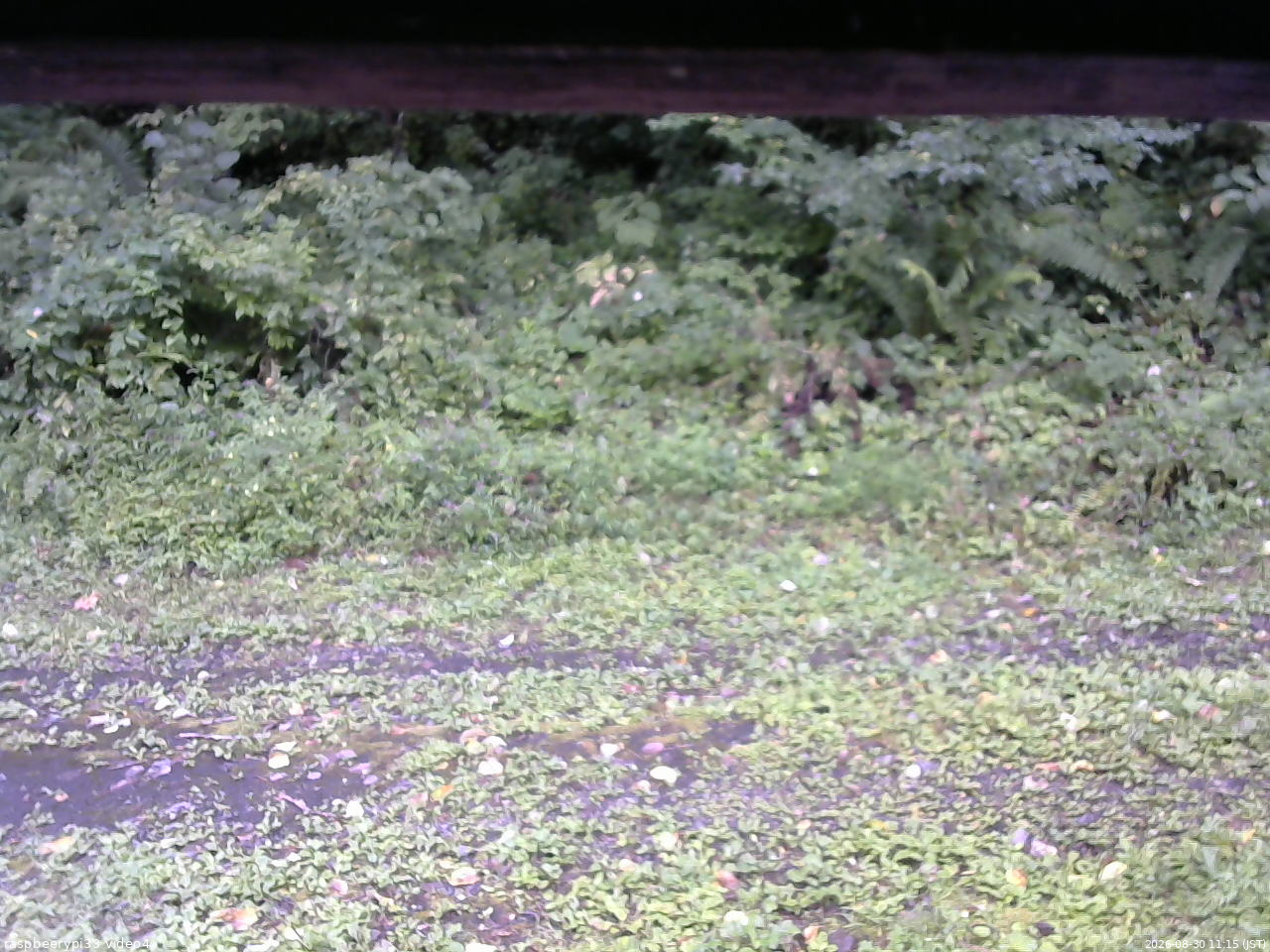 長野県菅平高原 ゆたか山荘 東側(坂下) 2026/08/30 11:15