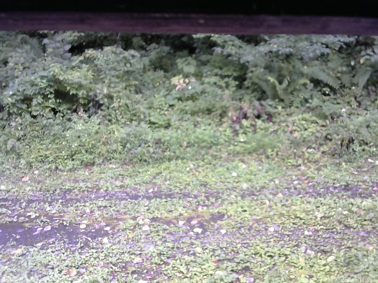 長野県菅平高原 ゆたか山荘 東側(坂下) 2026/08/30 13:15
