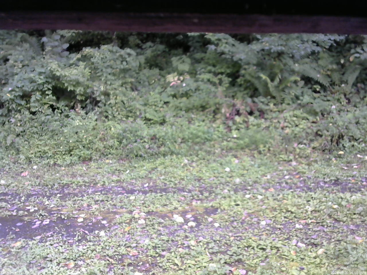 長野県菅平高原 ゆたか山荘 東側(坂下) 2026/08/30 16:00