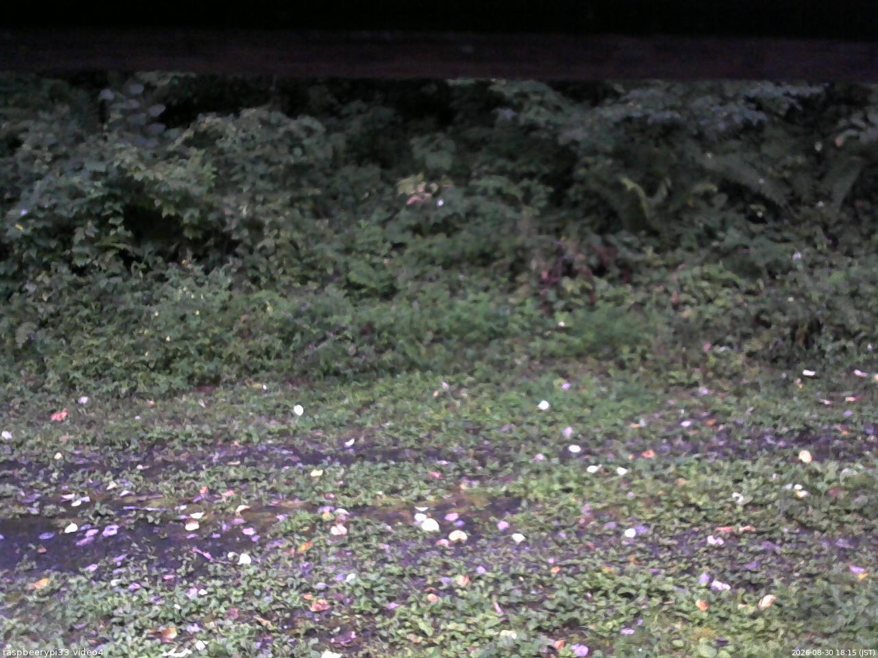 長野県菅平高原 ゆたか山荘 東側(坂下) 2026/08/30 18:15