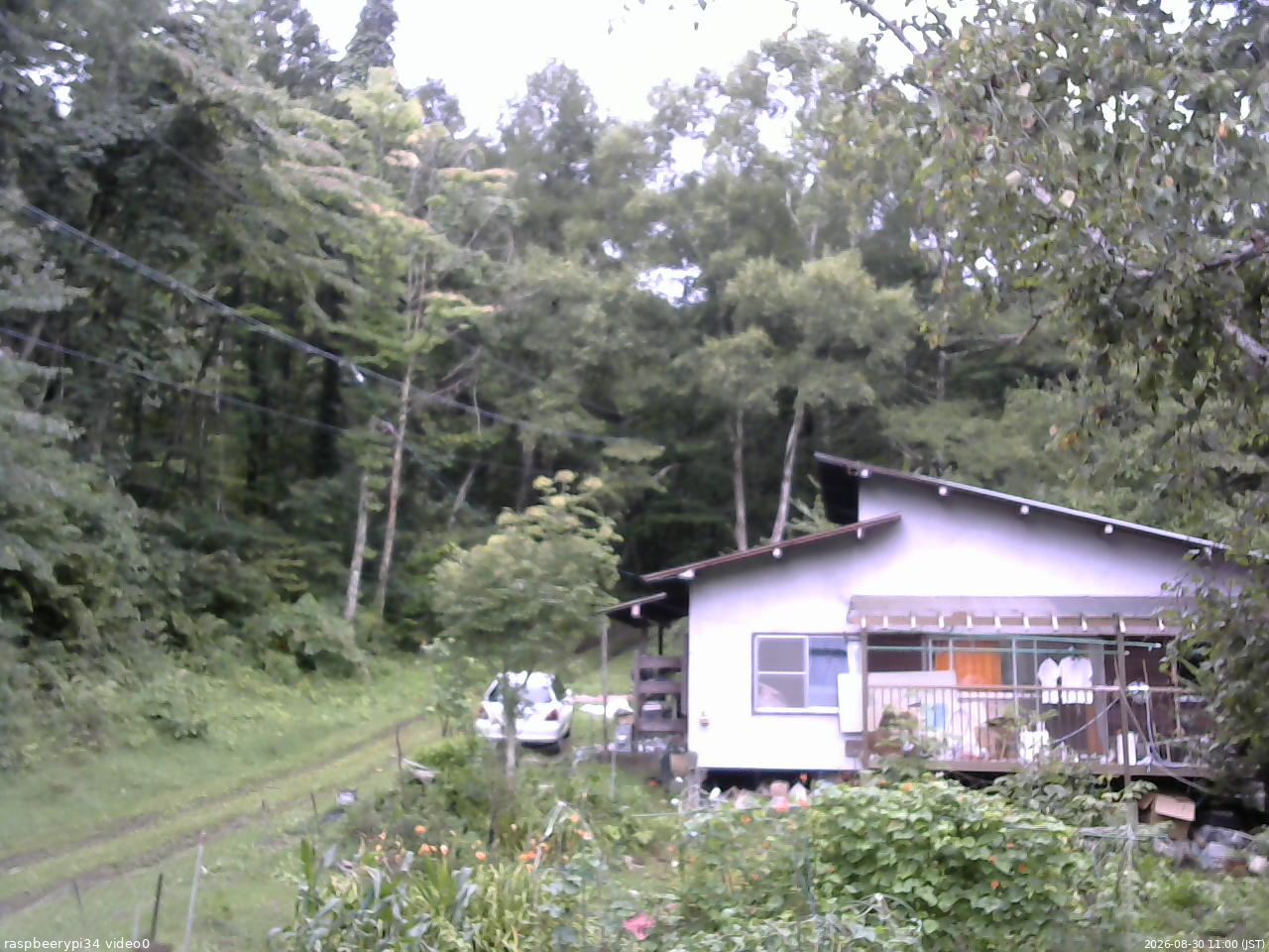 長野県菅平高原 ゆたか山荘 西側(坂上) 2026/08/30 11:00