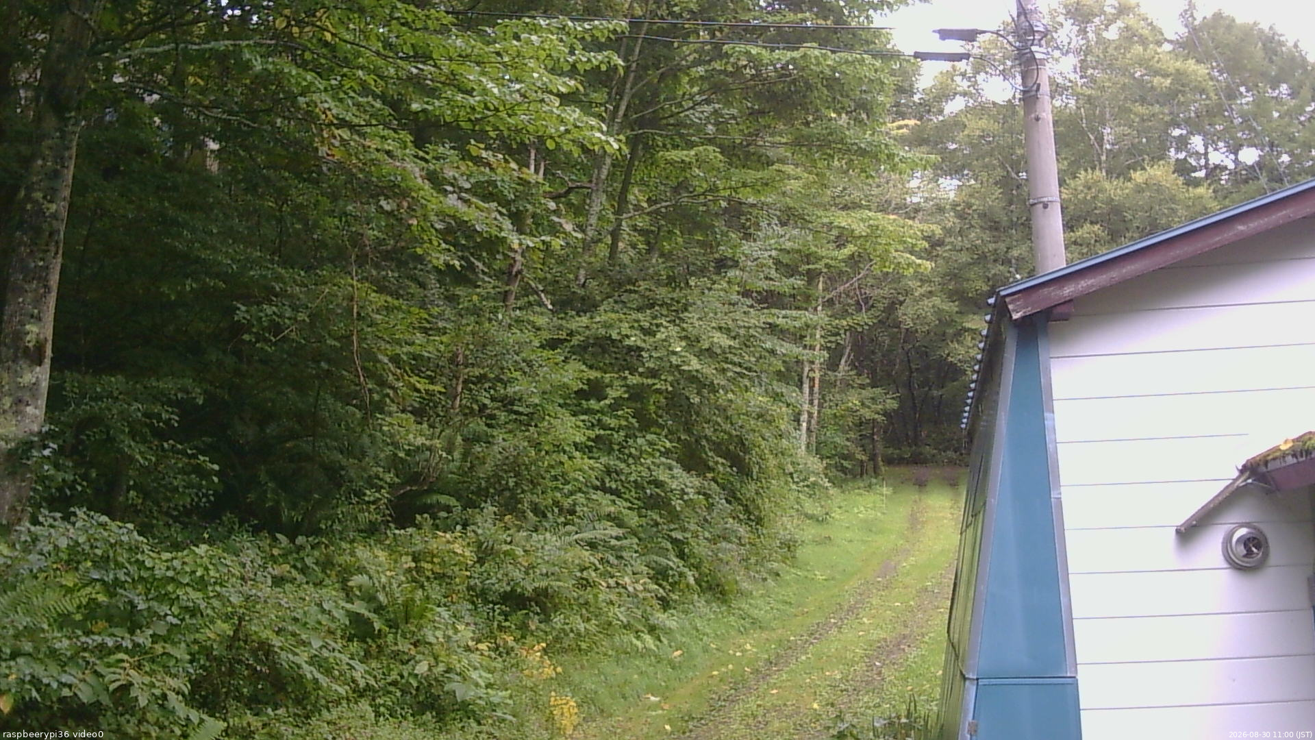 長野県菅平高原 ゆたか山荘 ゆたか山荘 2026/08/30 11:00
