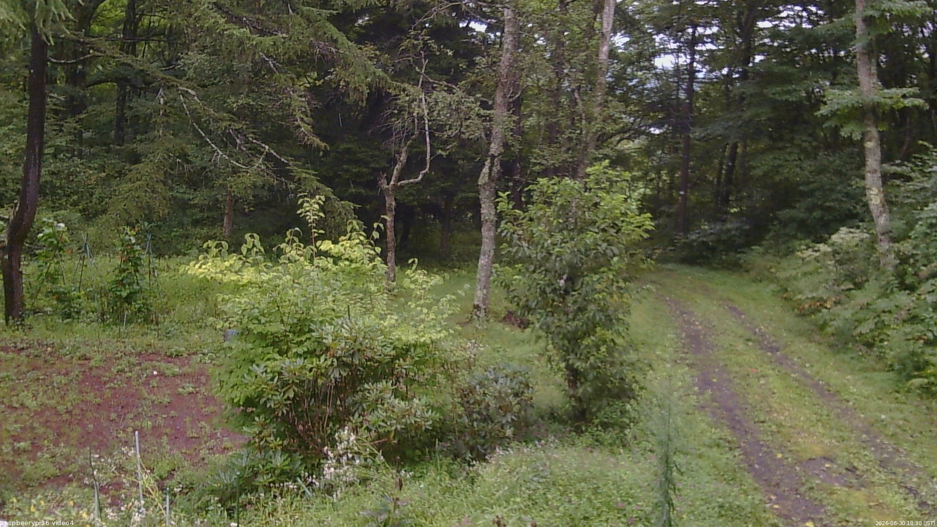 長野県菅平高原 ゆたか山荘 坂上 2026/08/30 10:30