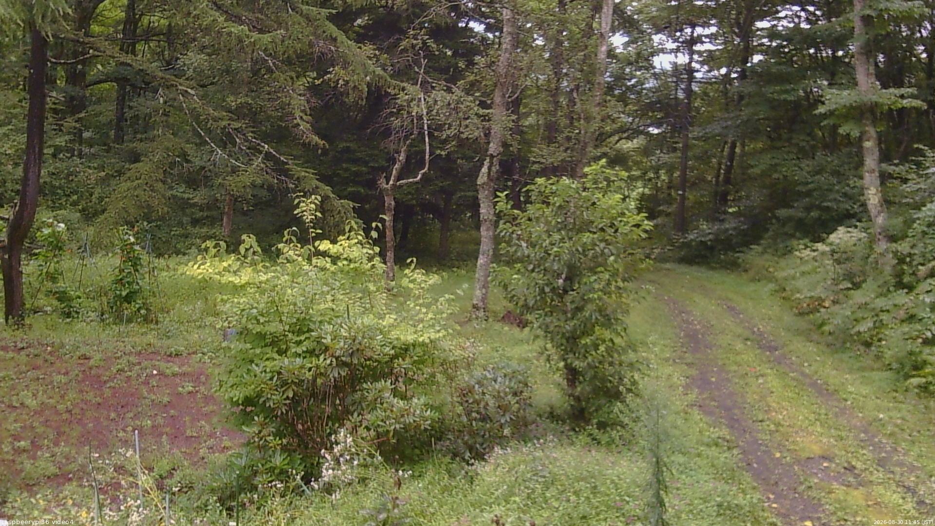 長野県菅平高原 ゆたか山荘 坂上 2026/08/30 11:45