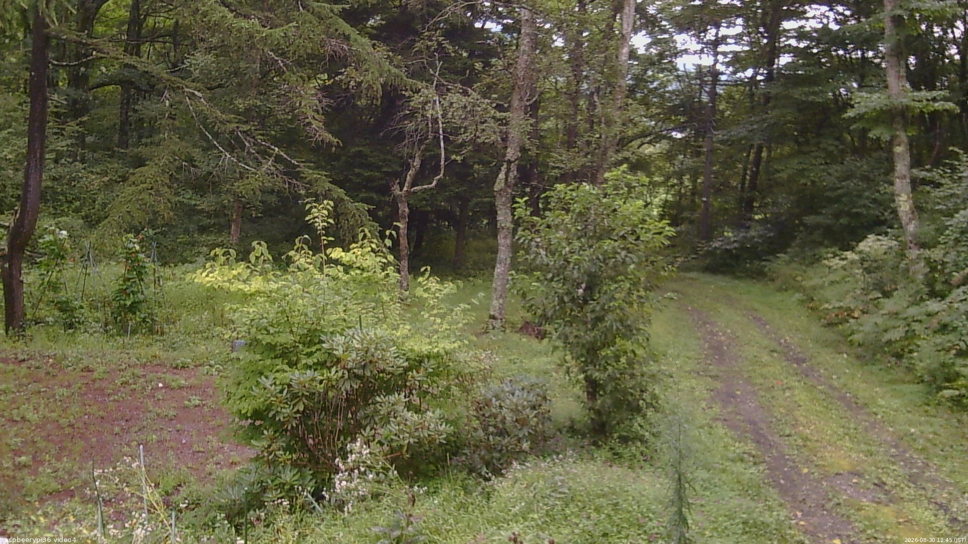 長野県菅平高原 ゆたか山荘 坂上 2026/08/30 12:45