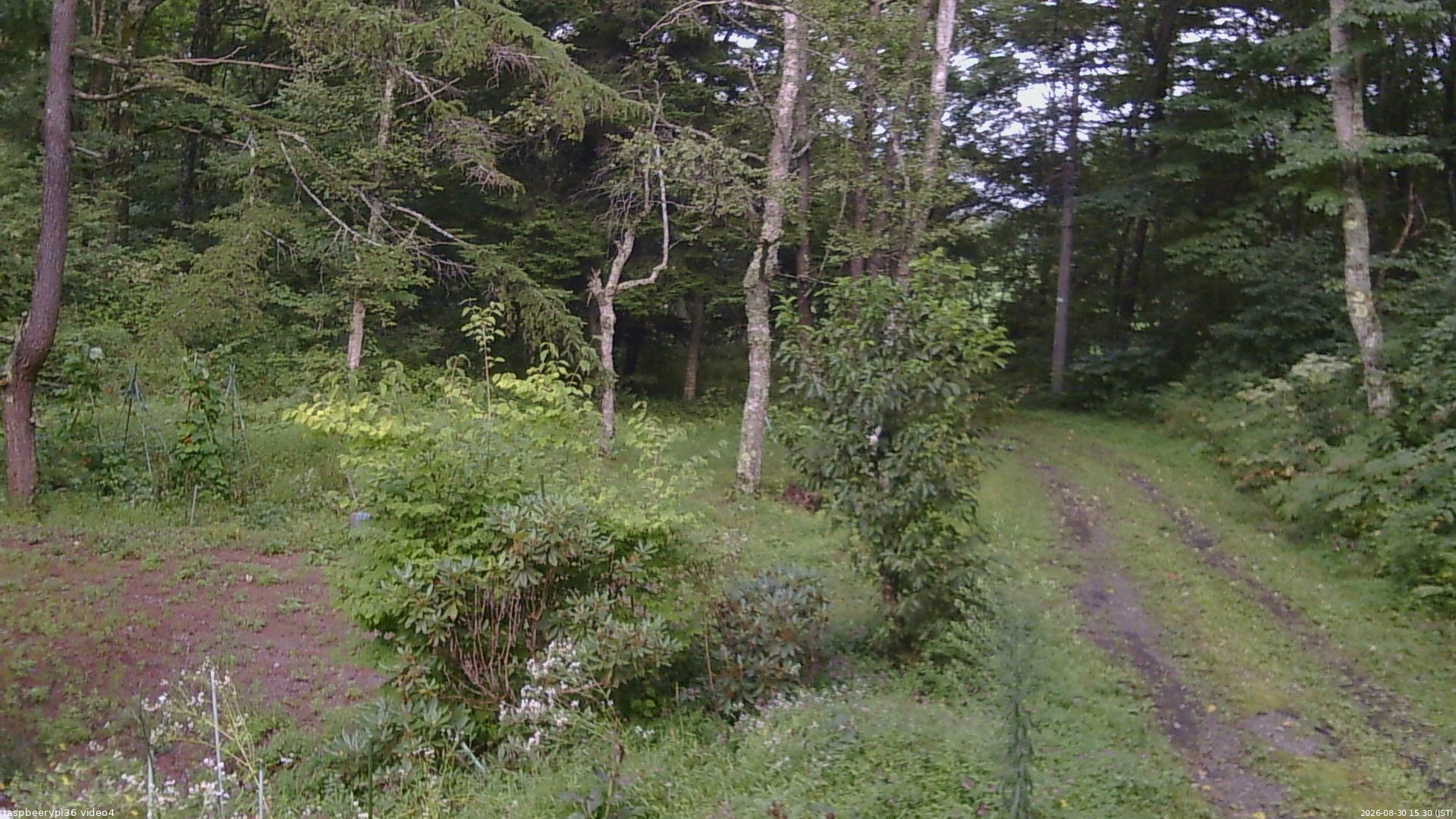 長野県菅平高原 ゆたか山荘 坂上 2026/08/30 15:30