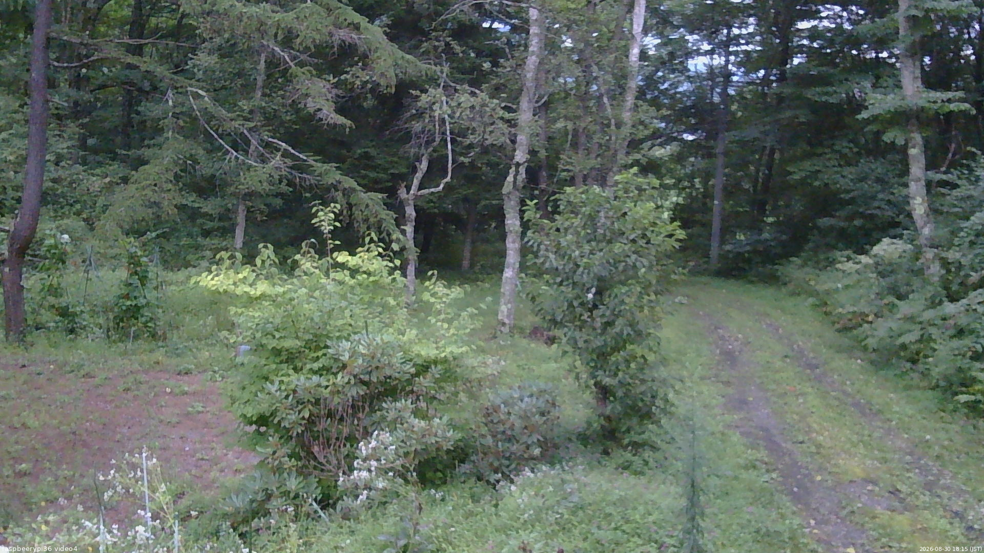 長野県菅平高原 ゆたか山荘 坂上 2026/08/30 18:15