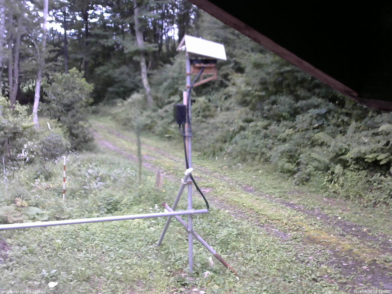 長野県菅平高原 ゆたか山荘 南側 2026/08/31 13:45