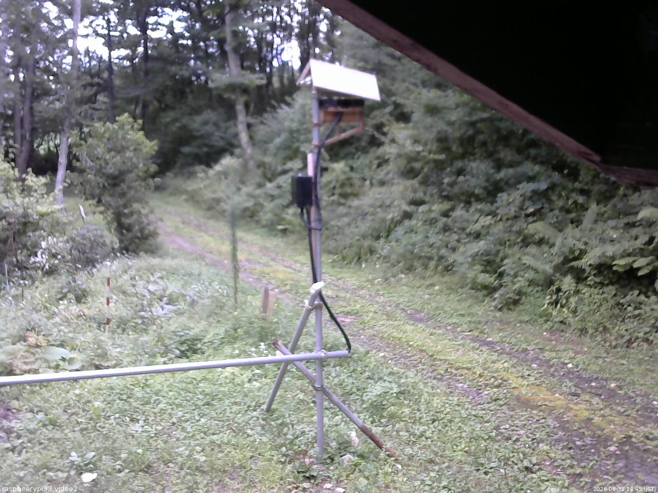 長野県菅平高原 ゆたか山荘 南側 2026/08/31 14:45