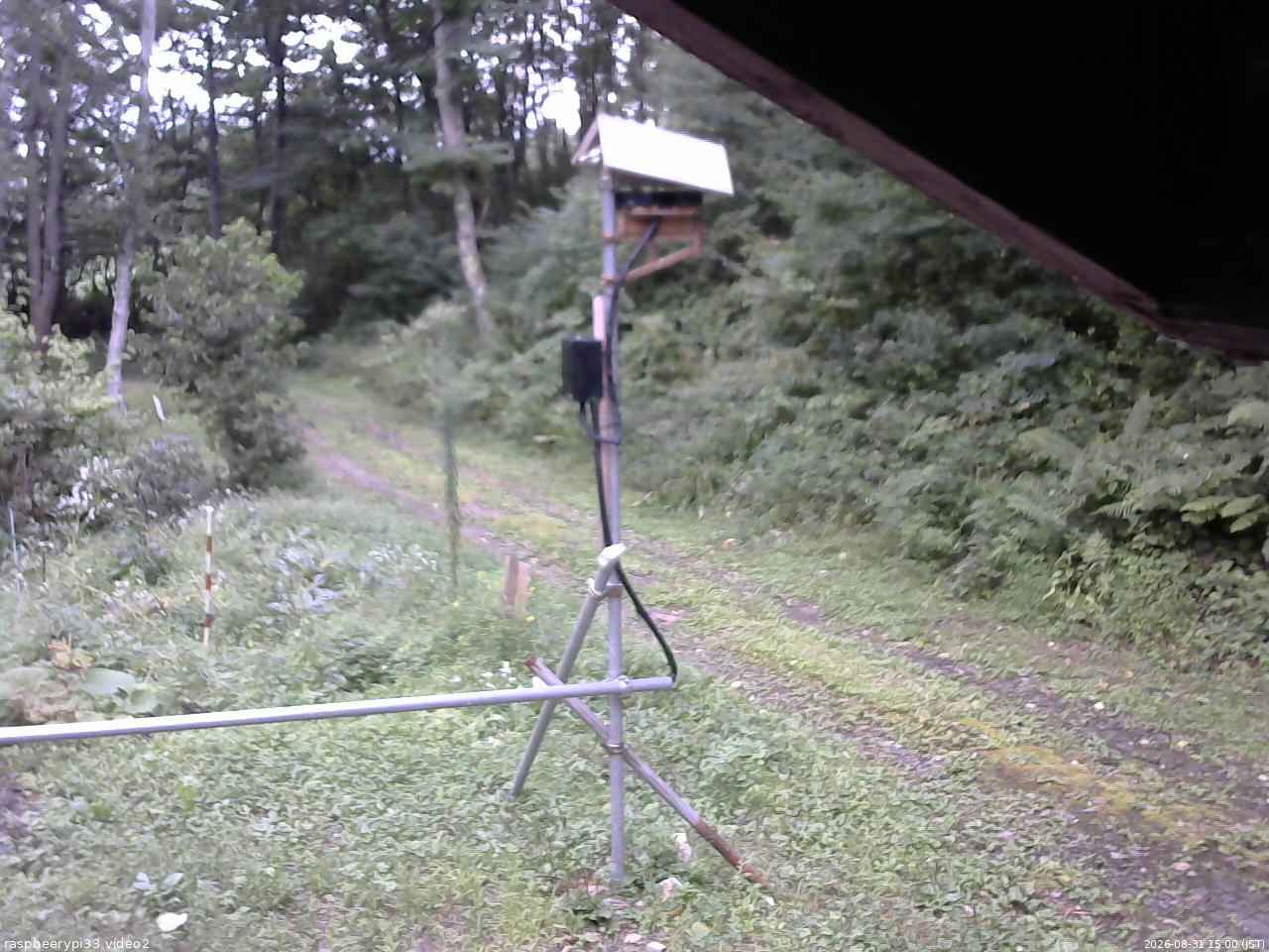 長野県菅平高原 ゆたか山荘 南側 2026/08/31 15:00