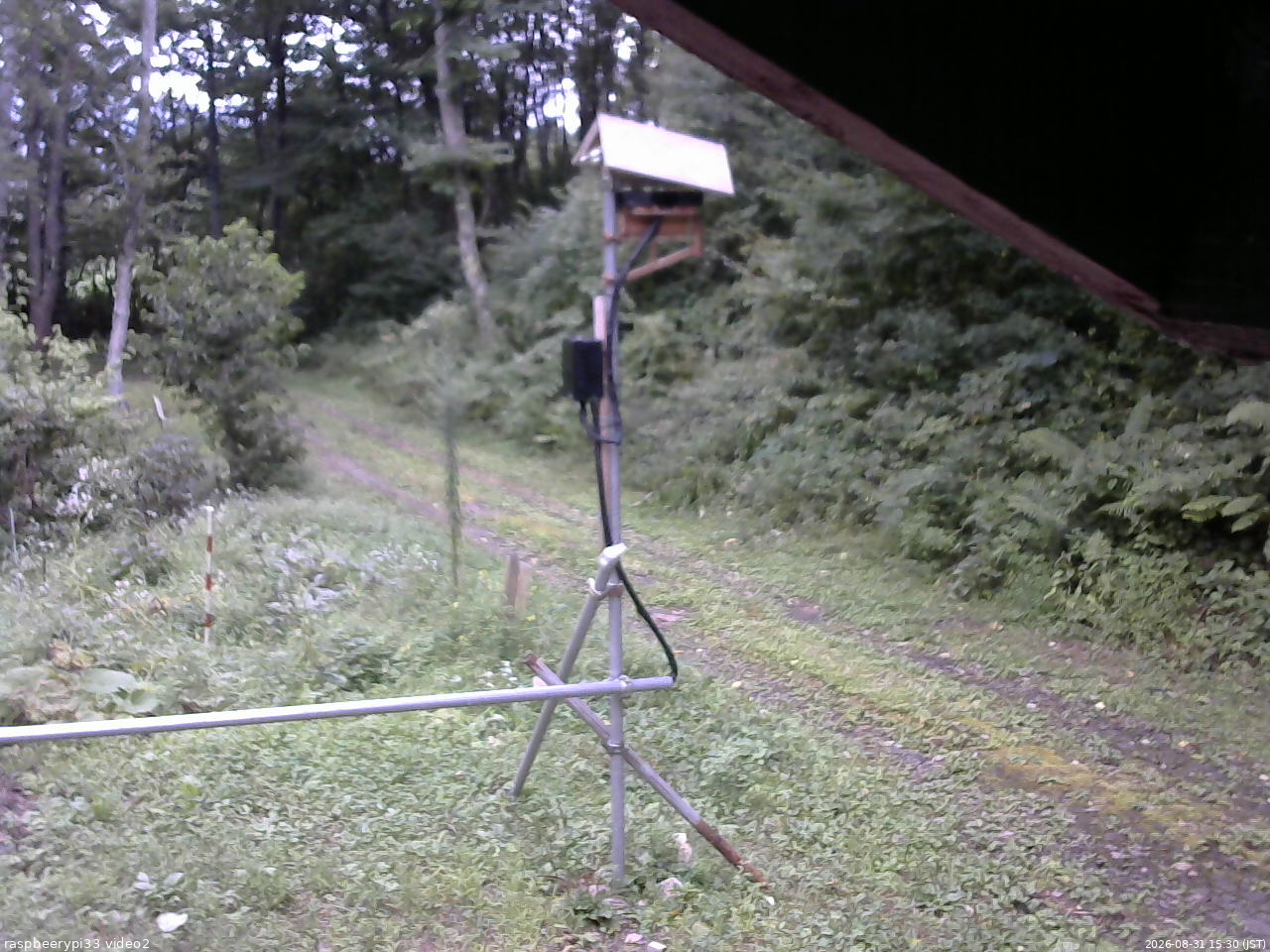 長野県菅平高原 ゆたか山荘 南側 2026/08/31 15:30