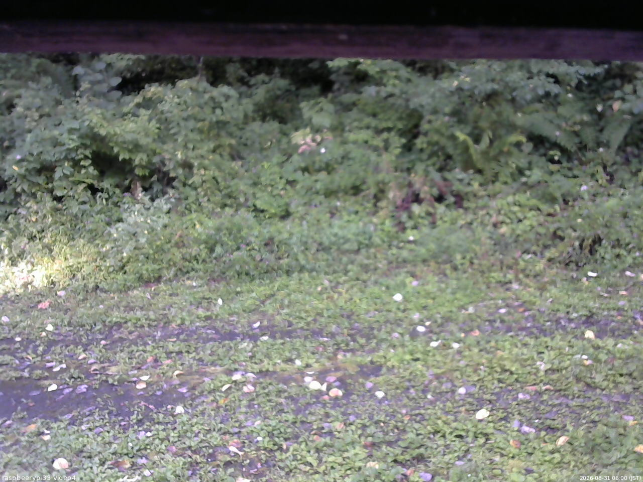 長野県菅平高原 ゆたか山荘 東側(坂下) 2026/08/31 06:00