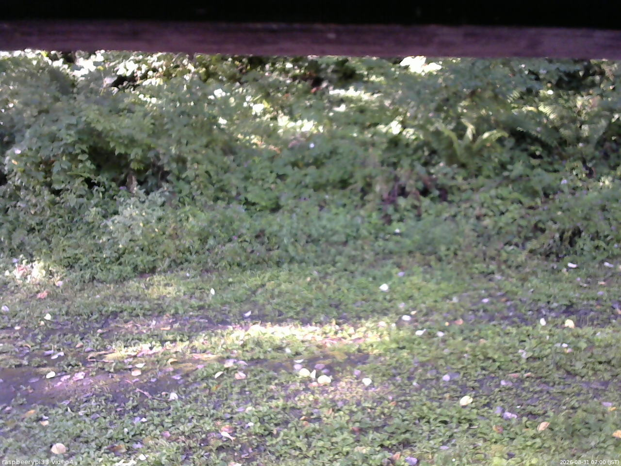 長野県菅平高原 ゆたか山荘 東側(坂下) 2026/08/31 07:00